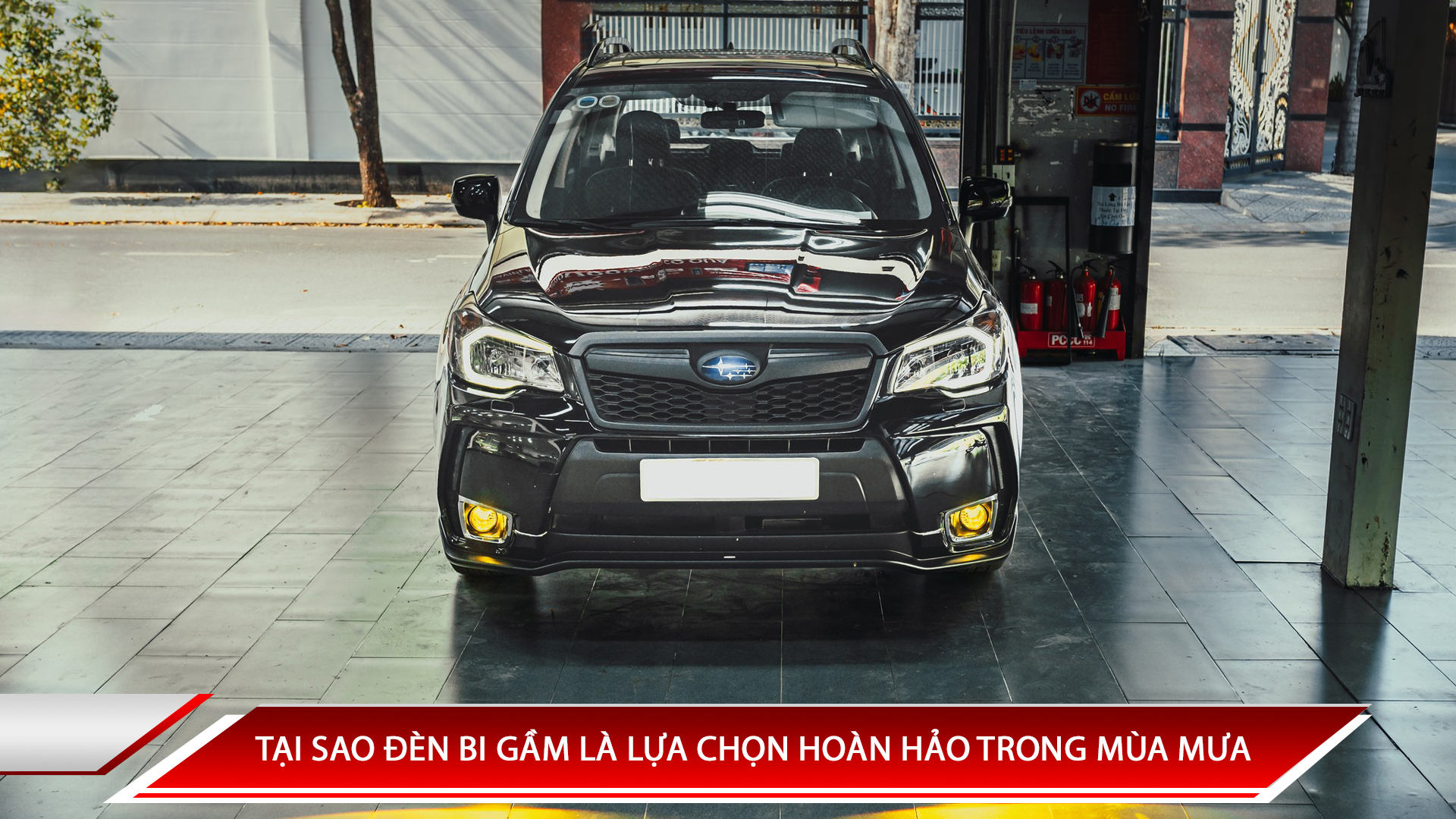 TẠI SAO ĐÈN BI GẦM LÀ LỰA CHỌN HOÀN HẢO TRONG MÙA MƯA?